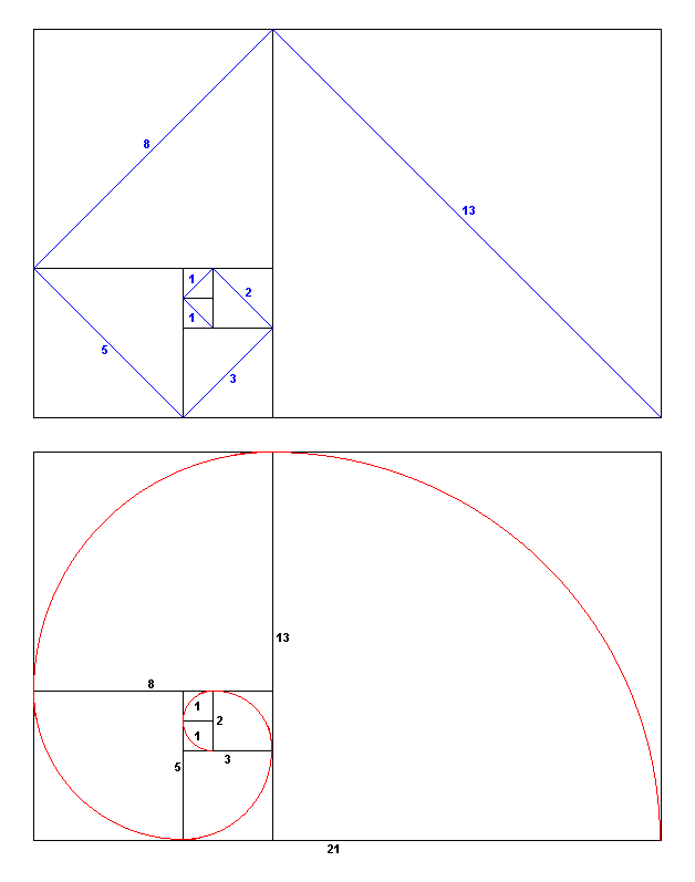 Die Fibonacci Zahlenfolge bildhaft dargestellt
